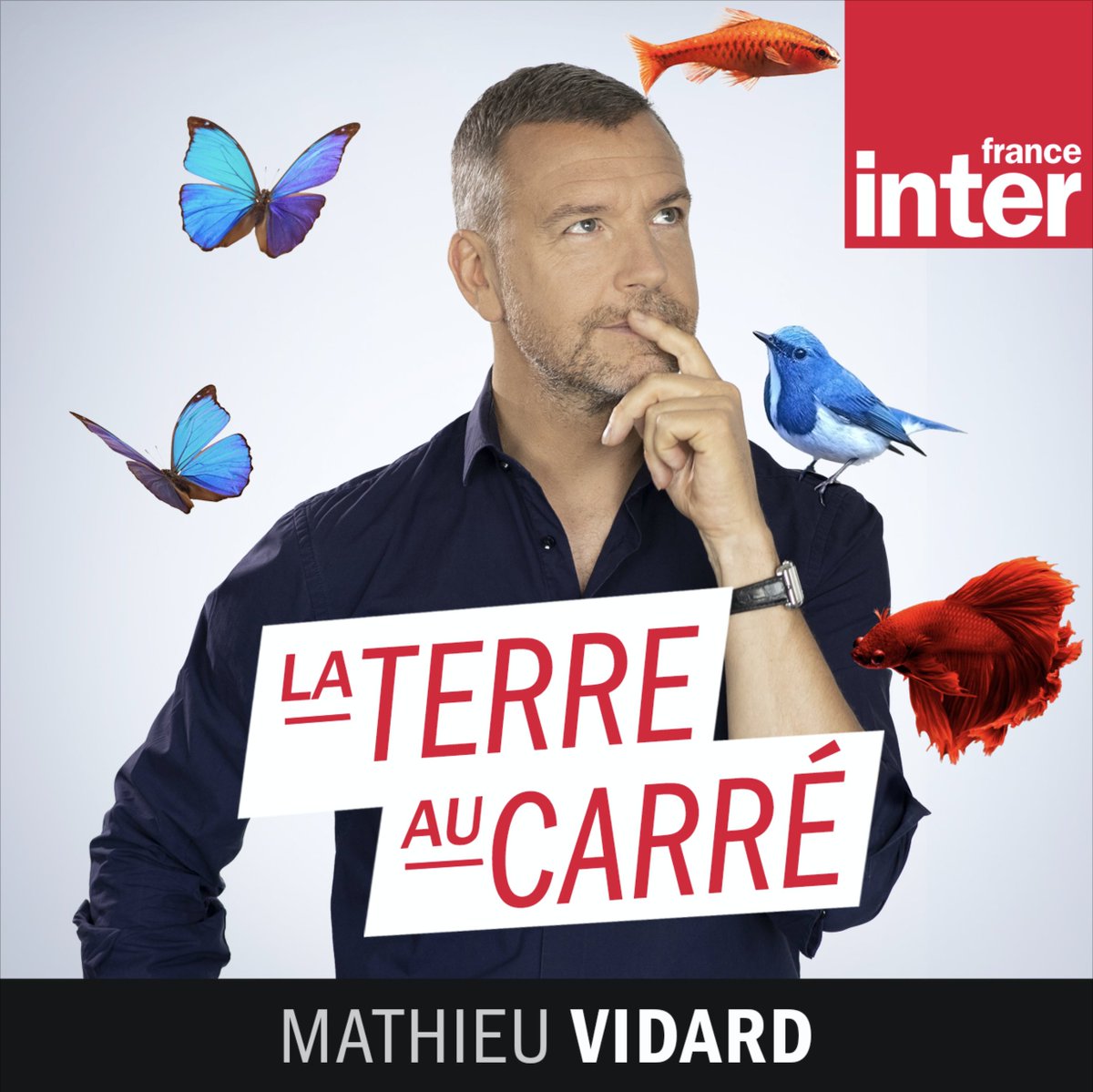 Interview | France Inter : Comment relocaliser tout en décarbonant notre économie ?
