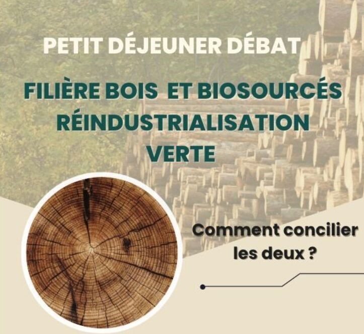 Expertise | Filière bois et biosourcés / réindustrialisation verte : comment concilier les deux ?